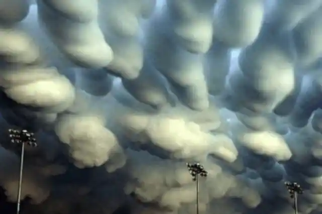 #20. The Cotton Clouds
