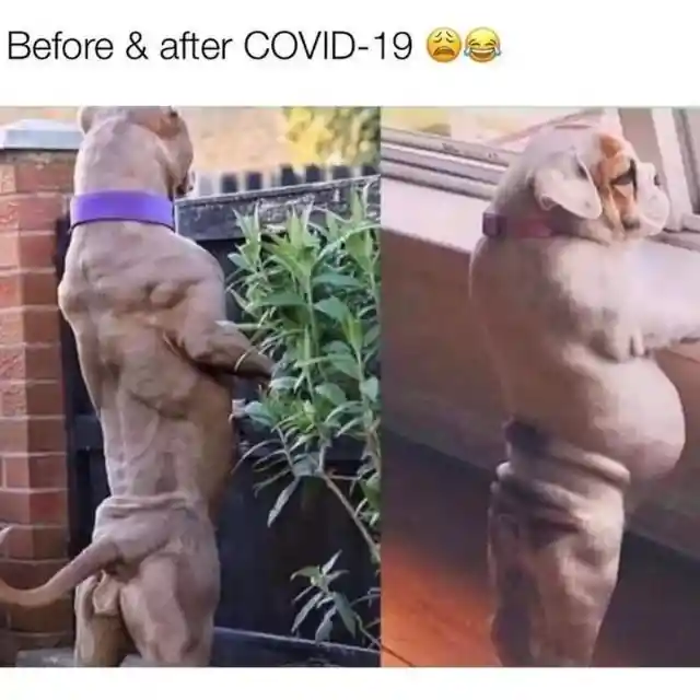 Before And After COVID-19