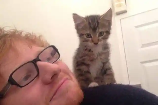 #20. Ed Sheeran And His Kittens