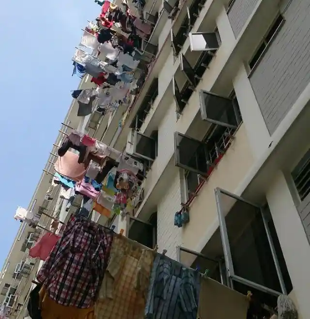 Bamboo Poles As Drying Rails In Singapore