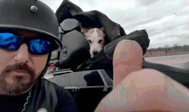 Biker Rescues A Puppy From Its Abusive Owner By Doing The Sweetest Thing