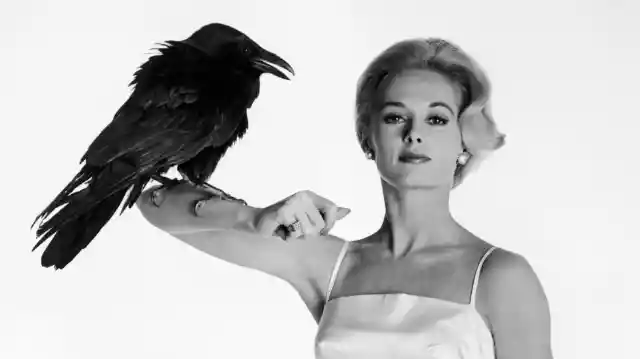 #20. Tippi Hedren