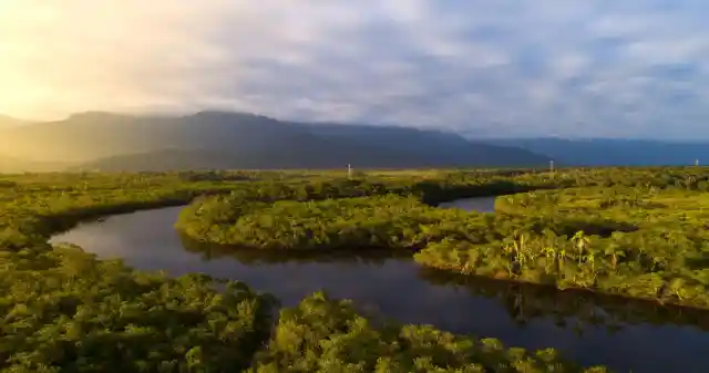 Man Discovers A Monstrous Fish In The Amazon That Has Never Been Seen Before