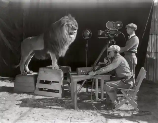 The Lion Movie Mascot