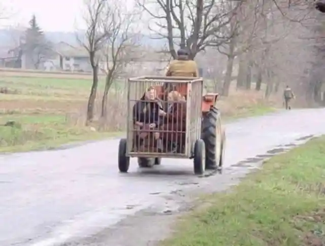 Old Ladies In Jail?