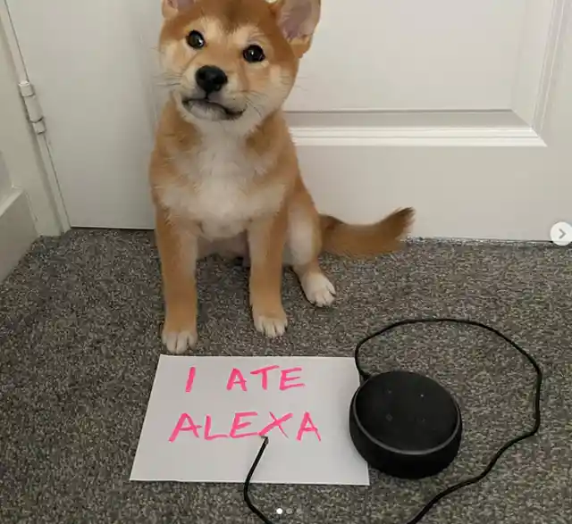 Goodbye, Alexa