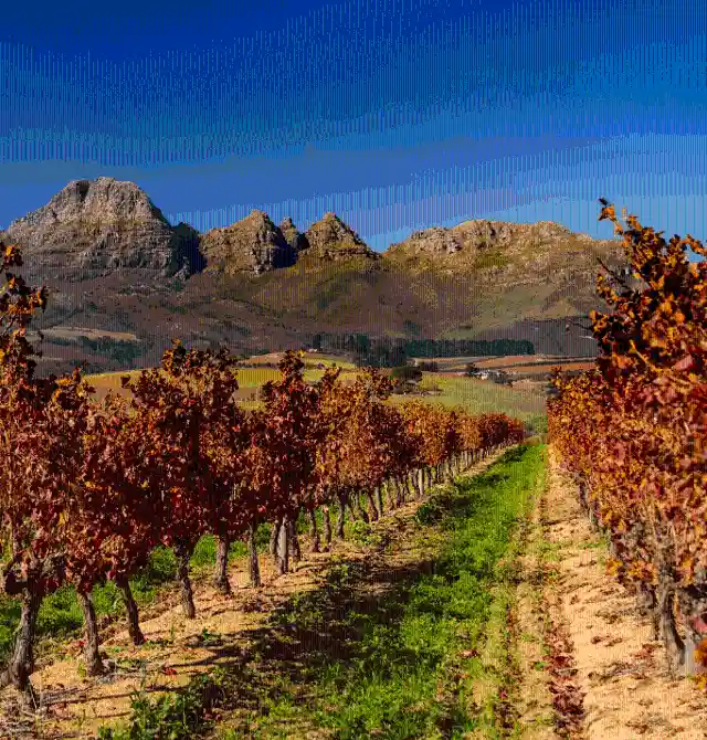 Franschhoek