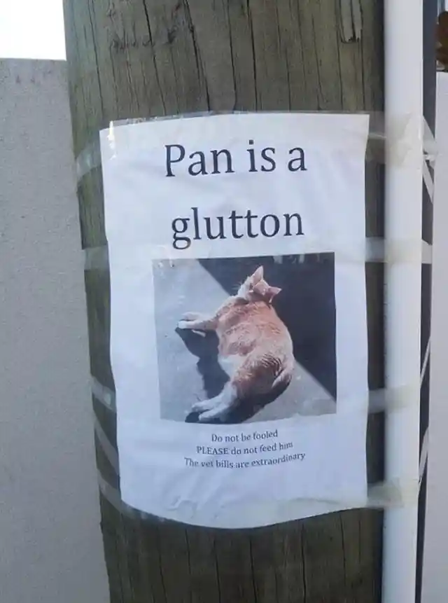 Hungry Pan