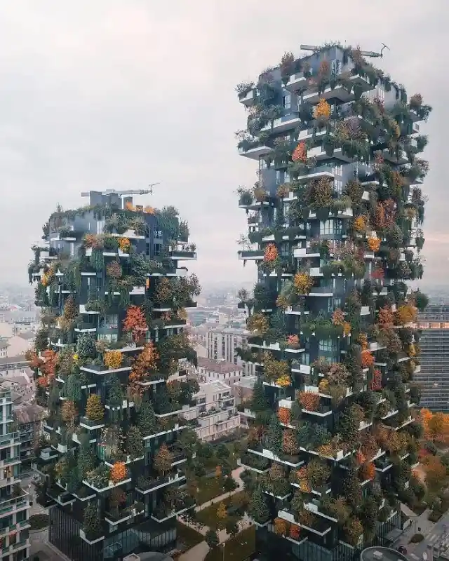 Vertical Forest