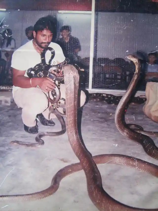 The Snake King