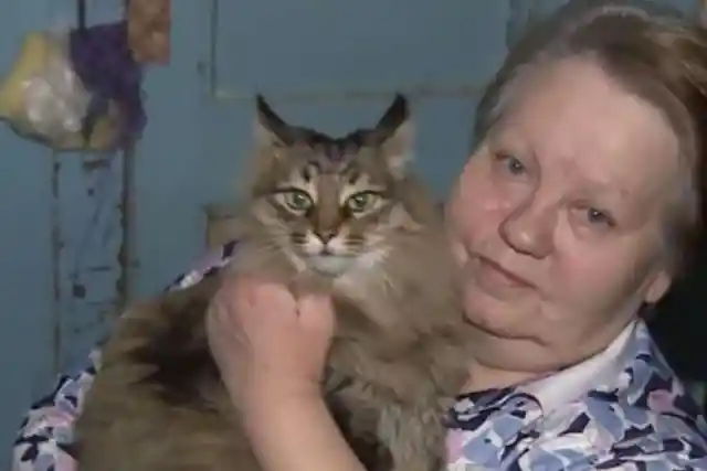 When This Cat Heard A Strange Noise Outside, She Decided To Help Immediately