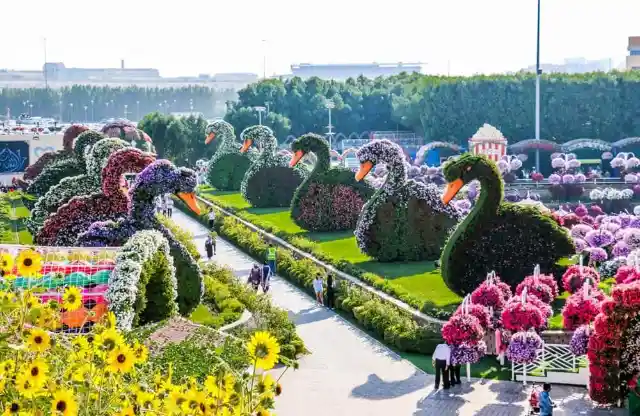 Dubai Miracle Garden