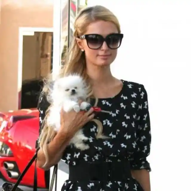 #9. Paris Hilton And Her Prince