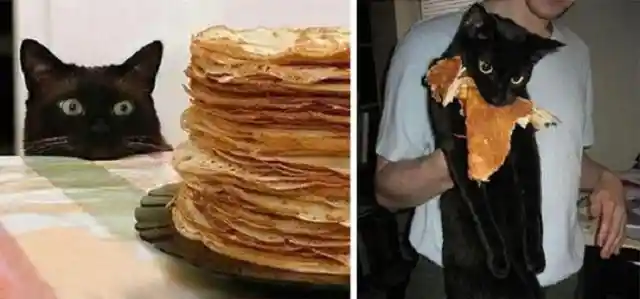 Pancake Fan