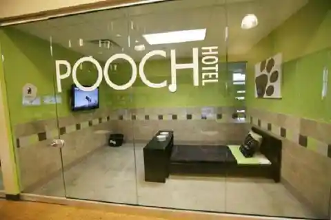 #23. The Pooch Hotel