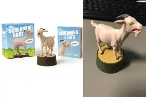 A Screaming Goat