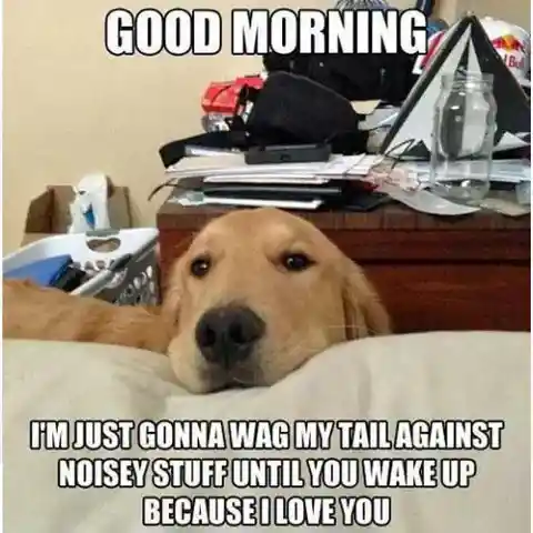Dog Alarm