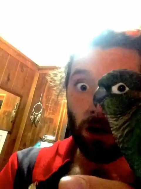 One-Eyed Man And His Birdie