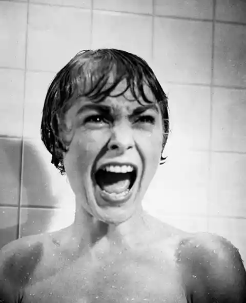 #5. The Shower Scene, Psycho