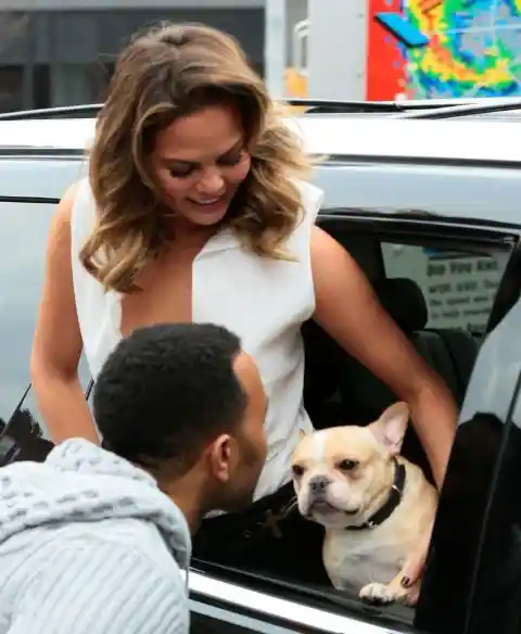 #1. Chrissy Teigen, John Legend, And Their Many Dogs