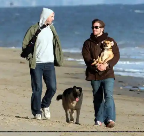 #25. Jake Gyllenhaal And His Dogs