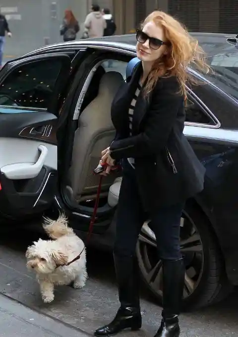 #8. Jessica Chastain Adopts Adult Pooch
