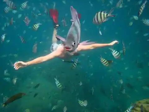 Fish Selfie