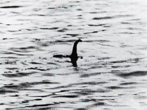 The Loch Ness Monster