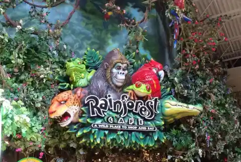 Rainforest Café