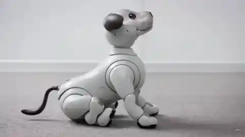 #13. Sony AIBO