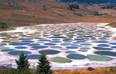 #23. Canadian Spotted Lake