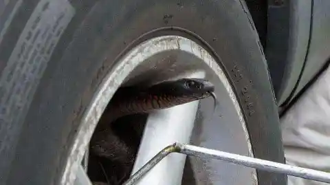 Dangerous Tire