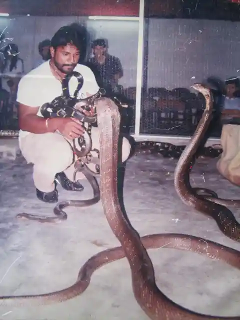 The Snake King